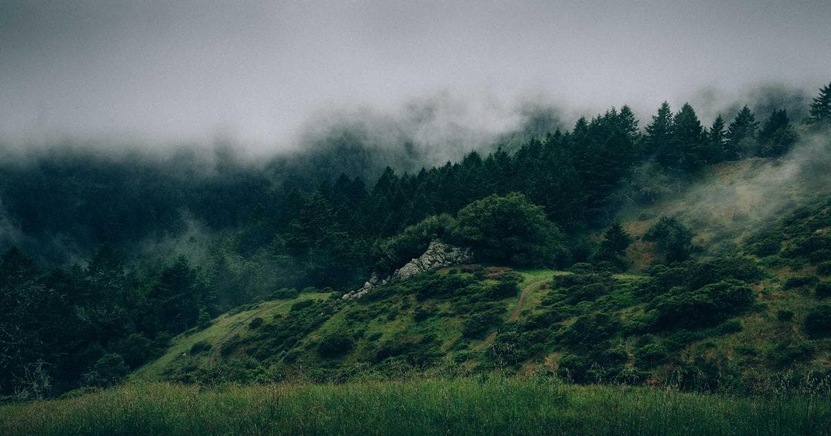 How to Survive Your First Breakup (Without Spiral-Texting Your Ex)